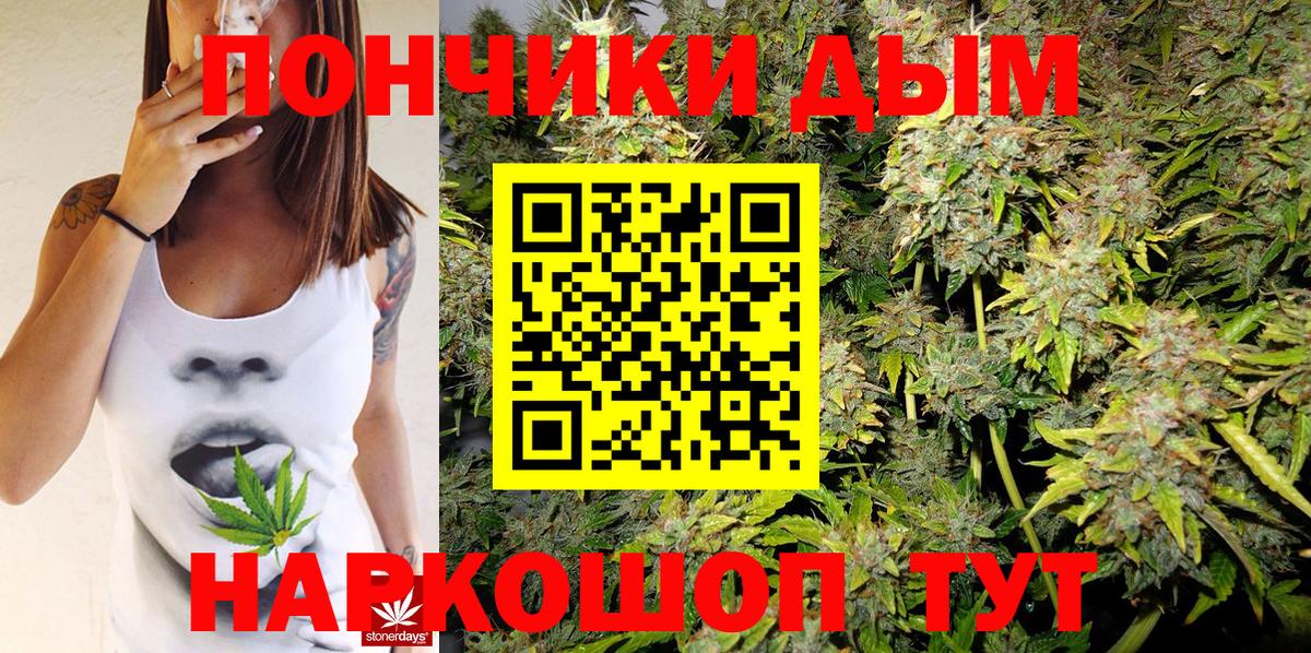 МАРИХУАНА план  Канабис сатива  Вход с VPN  Бошки марихуана планчик  Якутск 